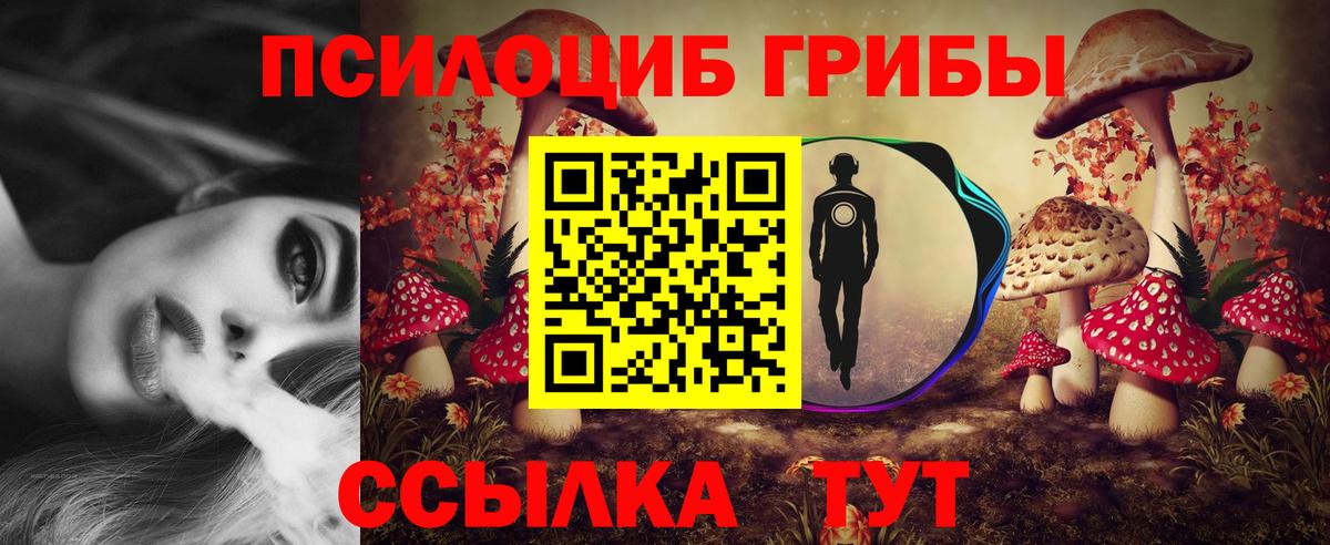 Галлюциногенные грибы MAGIC MUSHROOMS  Вход с VPN  Соль-Илецк 